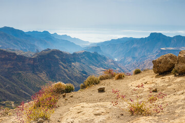 beautiful landscape of the volcanic island of gran canaria - 649017242