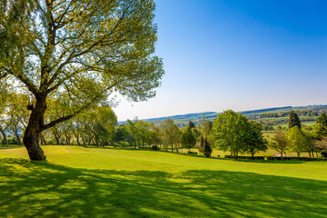 Golf course in the hills - 649021815