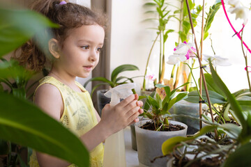 girl taking care of flowers, watering home plants, houseplant  at windowsill. child cozy home. Kid gardener spraying orchids with water. gardening floriculture. Green environment