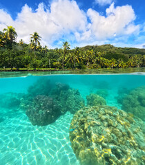 Over-unders | Overwater-underwater | Split-shot | Pacific Ocean and Beach in Bora Bora | French Polynesia