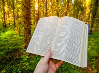 Reading the Bible and psalms in a beautiful dark forest with sun light and praying alone. Psalm 74,...