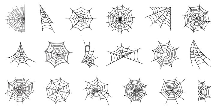 Spider web icons element for Halloween. Spider web icons. Halloween spider web