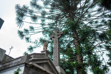 Keltisches Kreuz vor Aurucania Baum, Friedhof Recoleta, Buenos Aires, Argentinien
