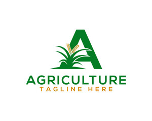 Letter A wheat farm agriculture Logo. agricultural and farming company logo Design.