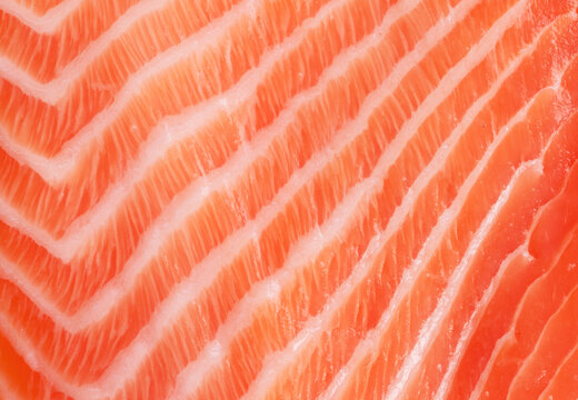Salmon fresh pink flesh texture or salmon fillet closeup.