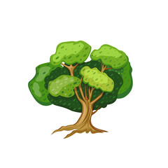 Sprawling tree with lush shape isolated on white