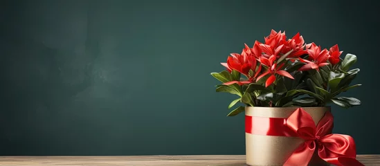 Deurstickers Christmas cactus in pot covered © AkuAku