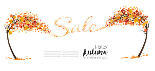 Autumn natural background with trees and falling colourful leaves gathered in the shape of the word sale. Autumn sale. Vector. - 649050210