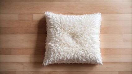 Pillow on the floor