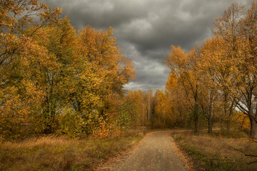 Dirt road among autumn yellow trees and dramatic weather