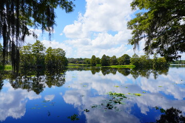 The landscape of Hillsborough river at Tampa, Florida	 - obrazy, fototapety, plakaty