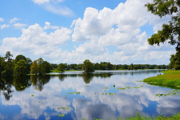 Landscape of Hillsborough river at Tampa, Florida	