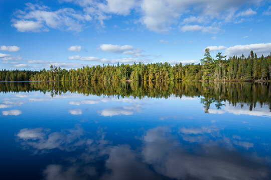 Beautiful blue lake in northern Minnesota with pines along the shore and clouds reflecting in calm water