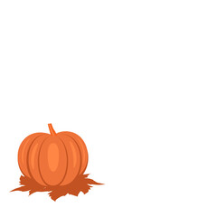 Vector of pumpkins isolated on a white background.