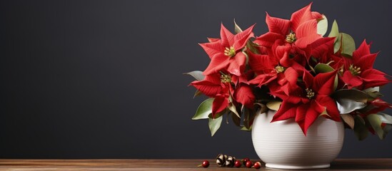 Christmas flower displayed in a vase