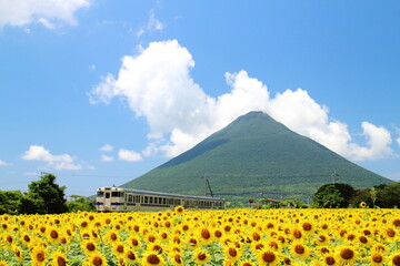 ひまわりが咲く西大山駅をかける列車の風景