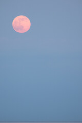 pink moon in blue sky