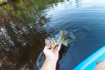 Kayak fishing catching fish, summer vacation, leisure hobbies copy space