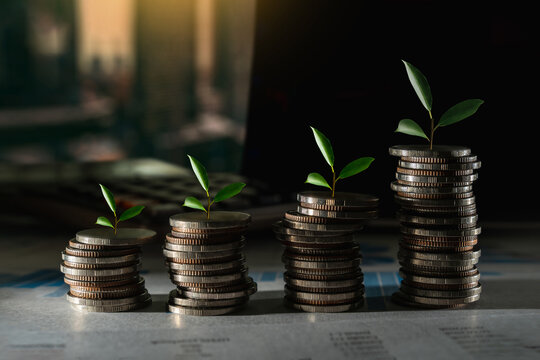 Growing Money: Finance Growth Business Idea Retirement for Future Wealth Profit Income Increase Money Success Saving money concept