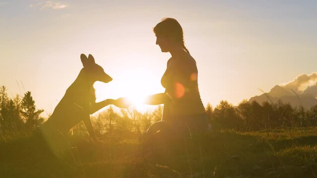 CLOSE UP, LENS FLARE: Adorable dog gives paw to his smiling owner in golden light. Young lady and her doggo sit on a grassy mountain top at sunset after hiking in the mountains on a sunny autumn day.