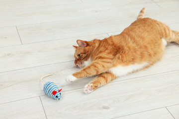 Cute ginger cat playing with sisal toy mouse at home