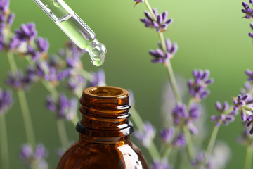 Dripping essential oil from pipette into bottle near lavender on green background, closeup. Space for text