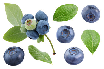 Set with fresh ripe blueberries and green leaves isolated in white