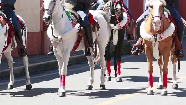 Mexican national guard on horseback, standing during the mexican parade for the mexican independence day