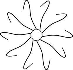 orange flower isolated on white