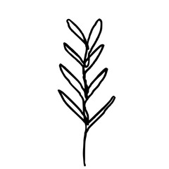leaf branch one line drawing, simple one line art