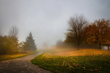Foliage at the public park i Canada, Fall foggy day, canadian autumn