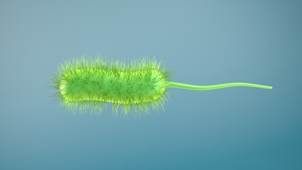 bacteria bacillus 3d render illustration. prokaryote microorganism with flagellum that can be used to represent microbiology cell probiotics and pathogen cells such as lactobacillus or salmonella