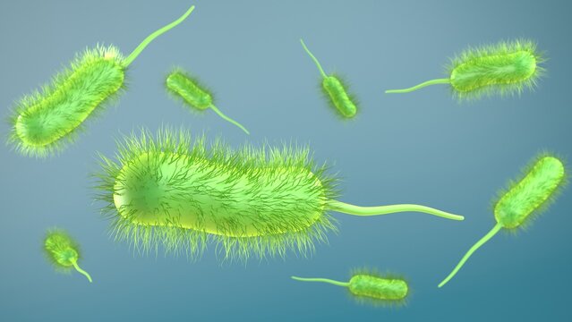 bacteria bacillus 3d illustration render. prokaryote microorganism with flagellum that can be used to represent microbiology cell probiotics and pathogen cells such as lactobacillus or salmonella