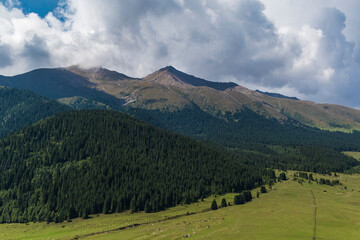 Fototapeta premium Gorge in the Tien Shan mountains