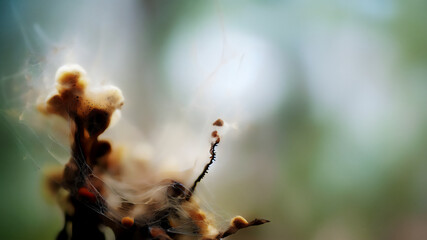 Abstract Autumnal Background with Particles Exploding · Concept Wallpaper Art