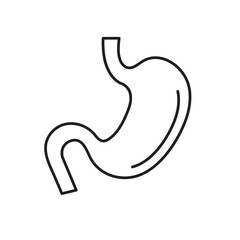 stomach icon vector, liner icon flat trendy style illustration on white background..eps