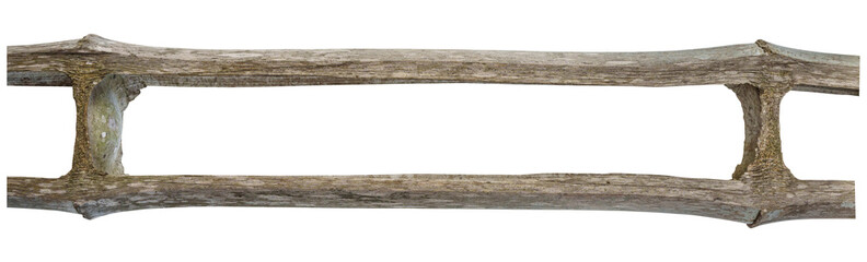 Bamboo frame for design