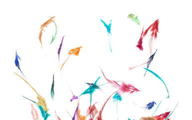 Many color Feather fly fall beautiful spiral pattern in air over black background isolated. Puffy...