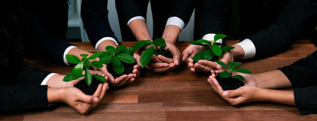 Sustainable eco-friendly business investment on forest regeneration by group of business people holding plant together in office promoting CO2 reduction and natural preservation. Panoramic view.Quaint
