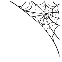 Ghotic cobwebs of spider 