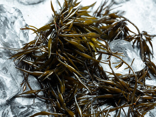 Sea weed fusiforme, Seasoned Seaweed 