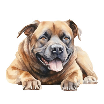 lazy dog watercolor illustration, generative AI