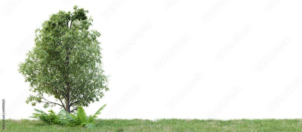 Poster group of tree isolated on transparent background 3d rendering png.