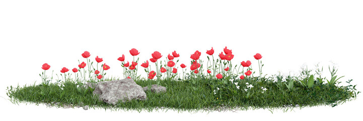 Field of flowers and grass cut out on transparent background 3d rendering png
