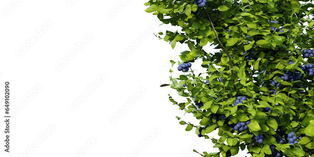 Poster tree isolated on transparent background.3d rendering png