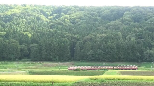 妙高はねうまライン　413系