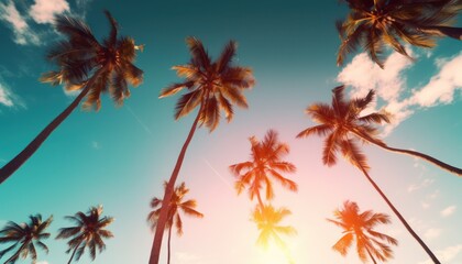 Fototapeta na wymiar silhouette tropical palm tree with sun light on sunset sky and cloud abstract background. Summer vacation and nature travel adventure concept. Vintage tone filter effect color style.