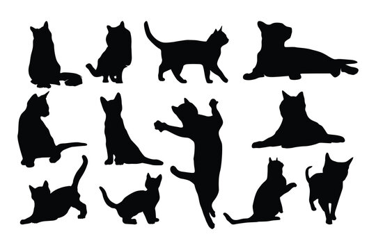 set of cat logo vector silhouette