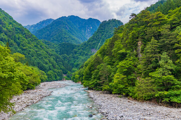 日本の風景　夏の黒部峡谷 - obrazy, fototapety, plakaty