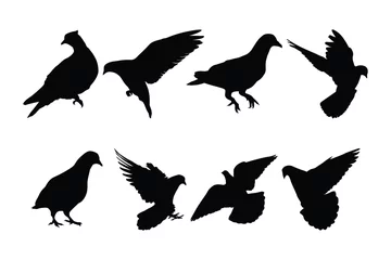 Deurstickers set of pigeon logo vector silhouette © rehan